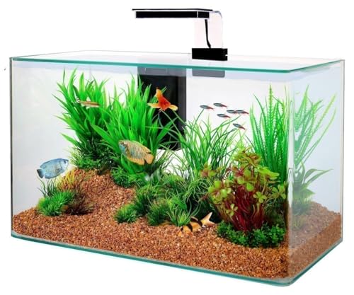 Zolux Aquarium-Set Aqua Clear 50 von Zolux