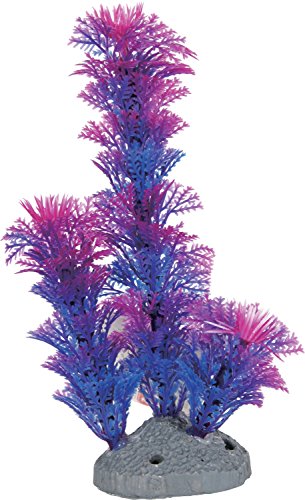 Zolux Dekoration Aquarium Pflanze Farbige Künstliche Blau 9 x 3,5 x 15 cm von Zolux