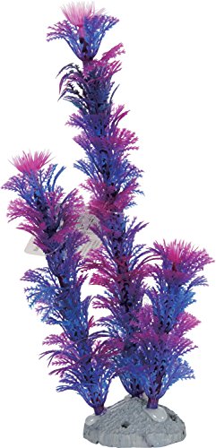 Zolux Dekoration Aquarium Pflanze Farbige Künstliche Blau 9 x 4 x 21,5 cm von Zolux