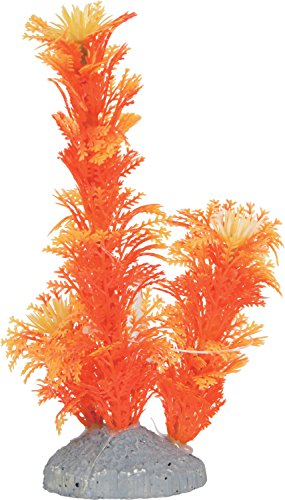 Zolux Dekoration Aquarium Pflanze Farbige Künstliche Orange 9 x 3,5 x 15 cm von Zolux