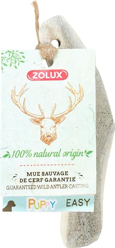 Zolux Hirschgeweih Schwertgeweih XXS Zolux Hirschgeweih Schwertgeweih XXS von Zolux