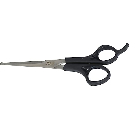 Zolux Hundeschere, gerade, 16,8 cm, Klassisch, Schwarz, Edelstahl, Produktreihe Anah, für Hunde, ZO-470835 Zolux Hundeschere, gerade, 16,8 cm, Klassisch, Schwarz, Edelstahl, Produktreihe Anah, für Hunde, ZO-470835 von Zolux