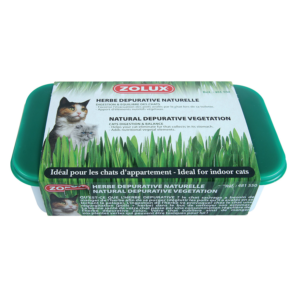 Zolux Katzenminze - L 15 x B 10 x H 5 cm Zolux Katzenminze - L 15 x B 10 x H 5 cm von Zolux