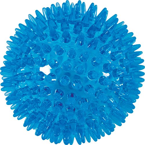 Zolux Picot Pop Hundespielzeug, Ball für Hunde, Durchmesser 13 cm, Türkis Zolux Picot Pop Hundespielzeug, Ball für Hunde, Durchmesser 13 cm, Türkis von Zolux