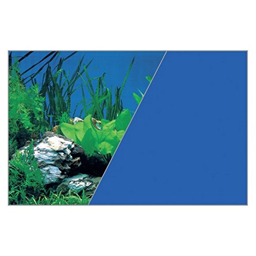 Zolux Poster Hintergrund für Aquarien, zugeschnitten, 50 x 80 cm, Fels/Blau von Zolux