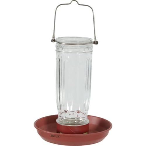 Zolux - Vogelhaus aus Glas für Vögel der Natur – Farbe: Terrakotta – Material: Metall | Glas – Farbe: Blau/Grün/Koralle/Gelb Zolux - Vogelhaus aus Glas für Vögel der Natur – Farbe: Terrakotta – Material: Metall | Glas – Farbe: Blau/Grün/Koralle/Gelb von Zolux