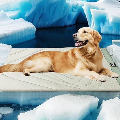 ZonLi Kühlmatte für Hunde, 150 x 101 cm, extra groß, wasserdicht, Kühlmatte für Hunde und Katzen, tragbare und langlebige Haustiermatte für Kiste, Kofferraum, Camping, Outdoor, maschinenwaschbar, ZonLi Kühlmatte für Hunde, 150 x 101 cm, extra groß, wasserdicht, Kühlmatte für Hunde und Katzen, tragbare und langlebige Haustiermatte für Kiste, Kofferraum, Camping, Outdoor, maschinenwaschbar, von ZonLi