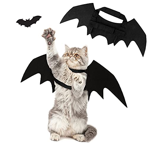 Katze Kleidung Halloween, ZoneYan Katzen Klamotten Fledermaus, Hundekostüm Bat Wings, Haustier Fledermausflügel, Fledermaus Kostüm Hunde, Katze Bat Wings Kostüm, Kostüm für Katzen Flügel (Schläger) Katze Kleidung Halloween, ZoneYan Katzen Klamotten Fledermaus, Hundekostüm Bat Wings, Haustier Fledermausflügel, Fledermaus Kostüm Hunde, Katze Bat Wings Kostüm, Kostüm für Katzen Flügel (Schläger) von ZoneYan
