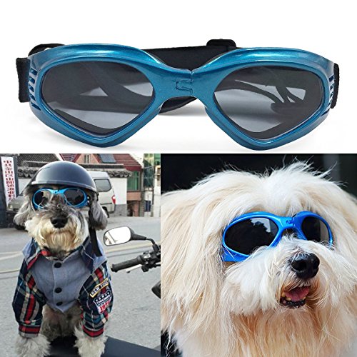 Zongsi Hundebrille Fashion Haustier Hund Sonnenbrille Eye Wear Hund Wasserdicht Schutz UV Sonnenbrille Schutzbrille für kleine Mittelhunde(Blau) von Zongsi
