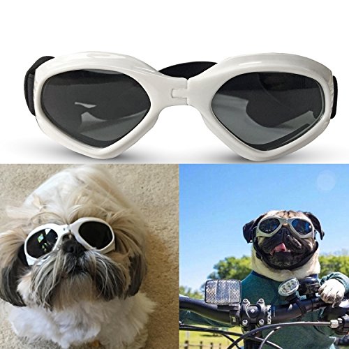 Zongsi Hundebrille Fashion Haustier Hund Sonnenbrille Eye Wear Hund Wasserdicht Schutz UV Sonnenbrille Schutzbrille für kleine Mittelhunde(Weiß) von Zongsi