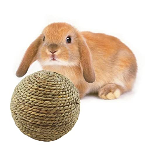 1 Stück Bunny Kaukugeln Kleine Tier Aktivität Spielzeug Kaninchen Spielen Ball Rolling Spielzeug Nagen Vergnügen Bälle Für Haustierkäfig Unterhaltung Zubehör, 6cm von PiniceCore