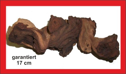 Mopani- Wurzel, garantiert 17cm, Aquarium, Terrarium von Zoo Fee