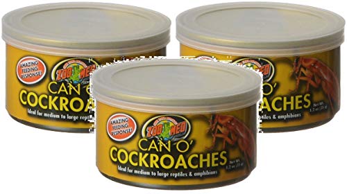 Zoo Med Can O' Cockroaches, Medum To Large Retiles & Amphibians 1.2-Oz - 3 Pack von Zoo Med