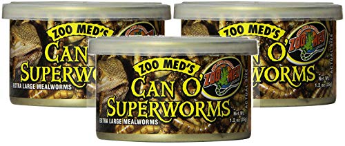 Zoo Med Can O' SuperWorms 3 Stück pro Dose von Zoo Med