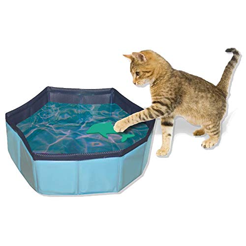 ZooMed Croci Pool Spielzeug für Katzen, 30 x 10 cm von Croci