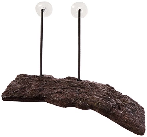 Zoo Med TD-10e Turtle Dock SM Sonnenplatz für Wasserschildkröten - passt sich automatisch an den Wasserstand an, Small von Zoo Med