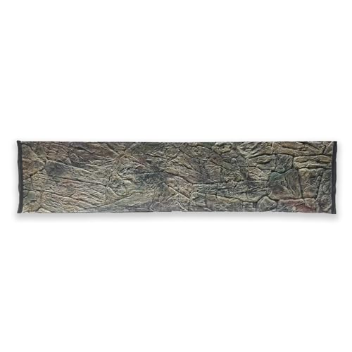 ZooPaul 3D Aquarium Rückwand dünn 200x50 Aquarienhintergrund Hintergrund Terrarium Dekoration von ZooPaul