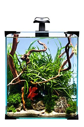 ZooPaul Aquarien Set Nano LED 10l 4,3W von ZooPaul
