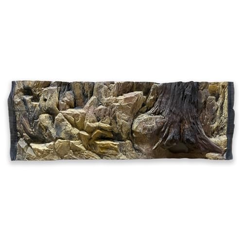 ZooPaul Aquarium Rückwand 3D 100x40 cm von ZooPaul