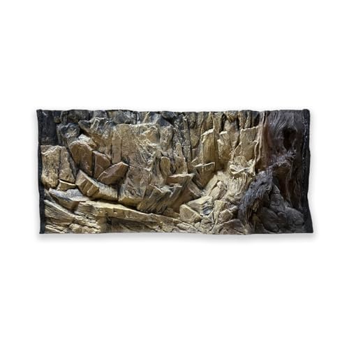 ZooPaul Aquarium Rückwand 3D 80x40 cm von ZooPaul