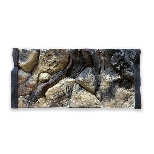 ZooPaul Aquarium Rückwand 3D Amazonas 60x30cm von ZooPaul