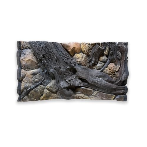 ZooPaul Aquarium Rückwand 3D Amazonas 100x60cm von ZooPaul