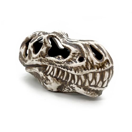 ZooPaul Keramik Deko Dekoration Aquarium Terrarium Dinosaurier Kopf Skelett Knochen Schädel ZooPaul Keramik Deko Dekoration Aquarium Terrarium Dinosaurier Kopf Skelett Knochen Schädel von ZooPaul