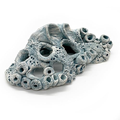 ZooPaul Keramik Deko Dekoration Aquarium Terrarium Korallen Riff Coral Great Barrier Reef Tierfossilie Meer ZooPaul Keramik Deko Dekoration Aquarium Terrarium Korallen Riff Coral Great Barrier Reef Tierfossilie Meer von ZooPaul