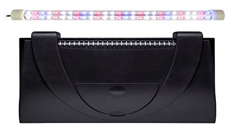 ZooPaul LED Aquarium Abdeckung 80x35 cm inkl. LED 17W Color von ZooPaul