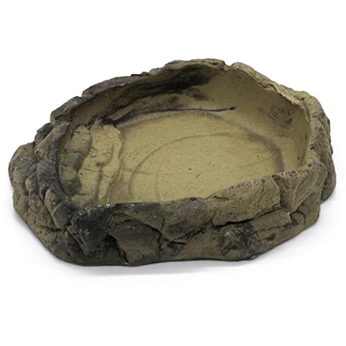 ZooPaul Terrarium Reptilien Schale beige XL ca. 27x22x5 cm (L/B/H) Trink Wasserschale Wassernapf Futterbar von ZooPaul