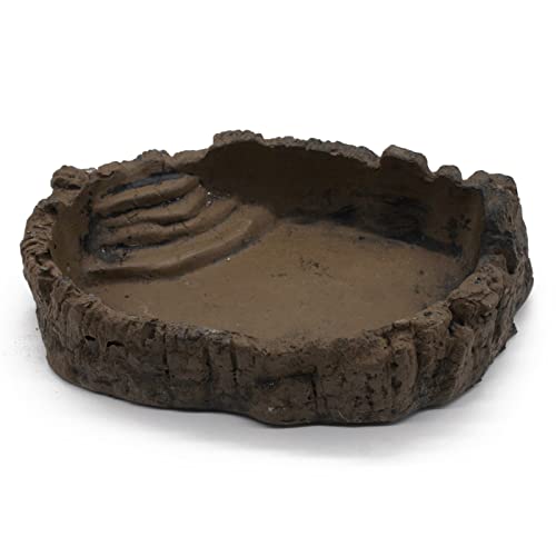 ZooPaul Terrarium Reptilien Schale braun XL ca. 26x19x6 cm (L/B/H) Trink Wasserschale Wassernapf Futterbar von ZooPaul