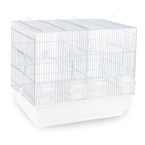 ZooPaul Vogelkäfig Aufzuchtkäfig Weiss 54x39x47cm Käfig Aufzucht Wellensittich Kanarien von ZooPaul