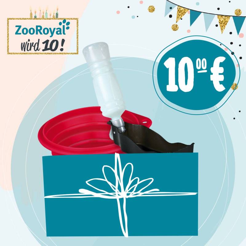 Jubiläums Sparpaket Reisen von ZooRoyal