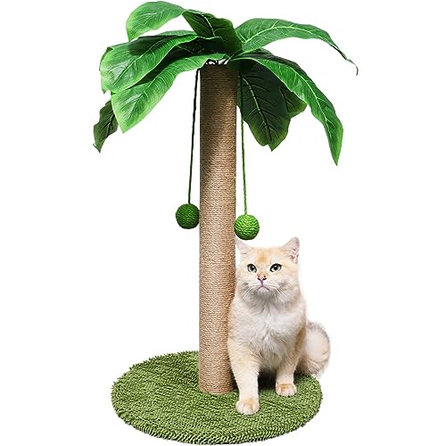ZooZoo Katzenkratzbaum, Katzenkratzbaum Kokospalme für Indoor-Katzen mit natürlichem Sisal-Kratzstab, hängende Sisalseile und -bälle, niedlicher 83,8 cm hoher Katzenkratzer für große Katzen und von ZooZoo