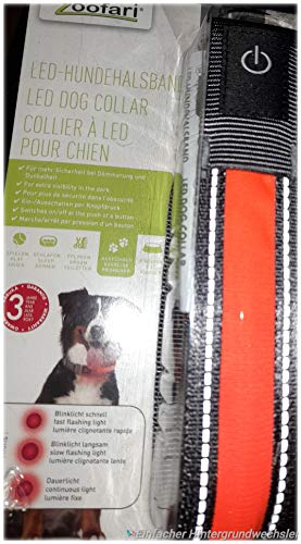 LED Hundehalsband, Halsband, Hund, Leine von Zoofari
