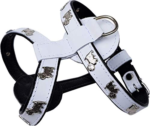 *Westie* HUNDEGESCHIRR - Geschirr, Brustkorb 42-47cm oder 50-56cm Echt Leder WEIß - Schwarz (Brustkorb 50-56cm) von ZooLeszcz