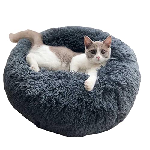 Rundes Haustierbett, beruhigendes Donut-Hundebett für mittelgroße und kleine Hunde und Katzen, flauschig, Anti-Angst-Hundebetten, waschbar, Welpenbett, rutschfest, XL (70 x 70 cm), Grau 2) von Zoomlie