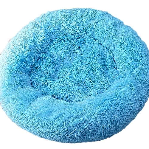 Zoomlie Beruhigendes Donut-Hundebett, weich, lang, Plüsch, Haustierbett, waschbar, rutschfeste Unterseite, Plüsch-Hundematte für kleine/mittelgroße Hunde und Katzen (50 cm, Himmelblau) von Zoomlie