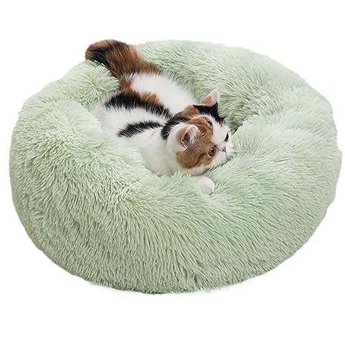 Zoomlie Hundebett, rund, Plüsch, Haustierhütte, Katzenhütte, Haustierbedarf, rutschfest, 60 cm, Grün Zoomlie Hundebett, rund, Plüsch, Haustierhütte, Katzenhütte, Haustierbedarf, rutschfest, 60 cm, Grün von Zoomlie