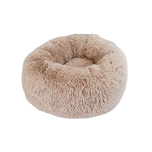 Zoomlie Hundebetten für große, mittelgroße und kleine Hunde, 60 cm, rundes Katzenbett, beruhigendes Haustierbett, Donut-Kuschelbett, Innenbereich, Haustiersofa, Bett, flauschige Zwinger (100 cm, Beige2) Zoomlie Hundebetten für große, mittelgroße und kleine Hunde, 60 cm, rundes Katzenbett, beruhigendes Haustierbett, Donut-Kuschelbett, Innenbereich, Haustiersofa, Bett, flauschige Zwinger (100 cm, Beige2) von Zoomlie