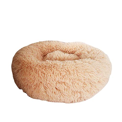 Zoomlie Hundebetten für große, mittelgroße und kleine Hunde, 60 cm, rundes Katzenbett, beruhigendes Haustierbett, Donut-Kuschelbett, Innenbereich, Haustiersofa, Bett, flauschige Zwinger (80 cm, Aprikose) Zoomlie Hundebetten für große, mittelgroße und kleine Hunde, 60 cm, rundes Katzenbett, beruhigendes Haustierbett, Donut-Kuschelbett, Innenbereich, Haustiersofa, Bett, flauschige Zwinger (80 cm, Aprikose) von Zoomlie