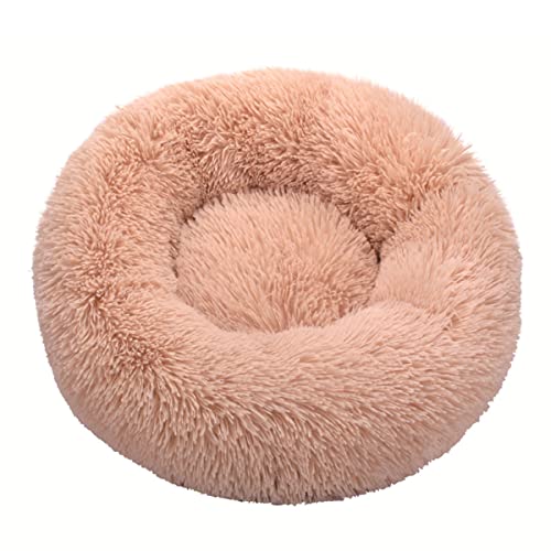 Zoomlie Plüsch-Donut-Haustierbett, rund, warm, kuschelig, Zwinger, weiches Welpen-Sofa, Katzenbett, Kissen, für den Innenbereich, Hundebett, Katzenbett, rutschfest (50 cm, Beige1) von Zoomlie