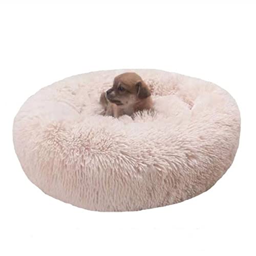 Zoomlie Plüsch-Donut-Haustierbett, rund, warm, kuschelig, weich, für Welpen, Sofa, Katzenbett, für den Innenbereich, Hundebett, Katzenbett, rutschfest (120 cm, Beige3) von Zoomlie