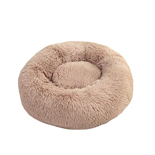 Zoomlie Rundes warmes Kuschelbett für kleine Katzen, selbstwärmend, Donut-Kätzchenbett für den Innenbereich, verbessert den Schlaf, Haustierbett mit Anti-Rutsch-Funktion (2XL (70–80 cm), Beige2) von Zoomlie