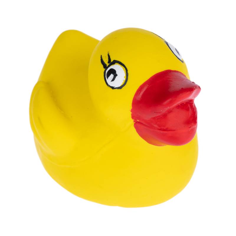 zooplus Basics Hundespielzeug Latex Ente - L 7,5 x B 6 x H 6 cm zooplus Basics Hundespielzeug Latex Ente - L 7,5 x B 6 x H 6 cm von Zooplus Basics