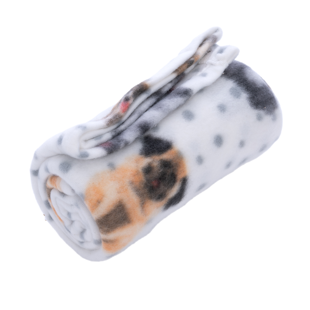 zooplus Basics Kuscheldecke Fleece Dogs & Dots - L 100 x B 70 cm zooplus Basics Kuscheldecke Fleece Dogs & Dots - L 100 x B 70 cm von Zooplus Basics