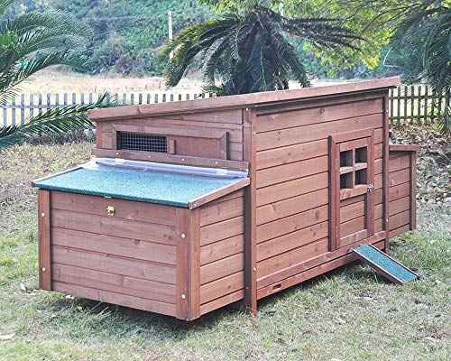 Zoopplier Winterfest Hühnerstall-wetterbeständig große Hühnerhaus-XXL Winterstall 4 Seasons aus massivem Holz-mit Wärmeisolierung-geeignet für 4-6 Hühner Zoopplier Winterfest Hühnerstall-wetterbeständig große Hühnerhaus-XXL Winterstall 4 Seasons aus massivem Holz-mit Wärmeisolierung-geeignet für 4-6 Hühner von Zoopplier