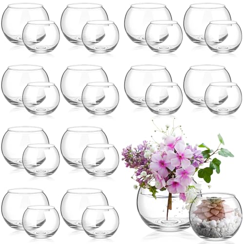Zopeal 24 Stück Fischglasvasen, Glasblasenschalen, Kugeln, Glas, transparent, Kugelvase, rund, Terrarium, Goldfisch, Blume, Tafelaufsatz für Hochzeit, Event, Arrangement, Büro, Zuhause (5,9 cm H x 7,9 Zopeal 24 Stück Fischglasvasen, Glasblasenschalen, Kugeln, Glas, transparent, Kugelvase, rund, Terrarium, Goldfisch, Blume, Tafelaufsatz für Hochzeit, Event, Arrangement, Büro, Zuhause (5,9 cm H x 7,9 von Zopeal