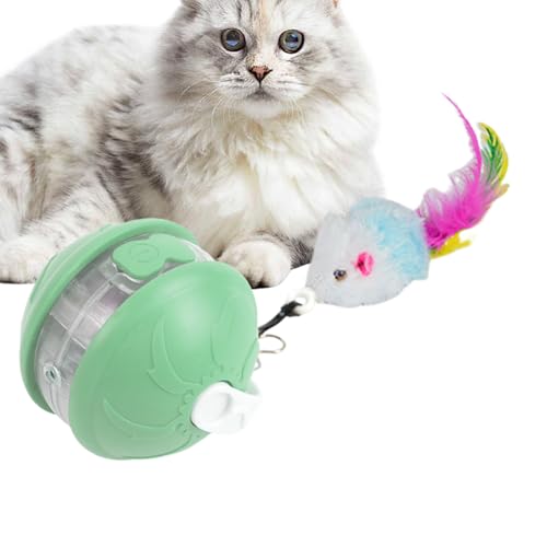 Interaktive Katzenkugel, Interaktive Elektrische Rollende Bälle Für Katzen, Leises Und Sicheres Haustierspielzeug Für Wohnzimmer Park Zuhause Garten Balkon Und Spielzeit Interaktive Katzenkugel, Interaktive Elektrische Rollende Bälle Für Katzen, Leises Und Sicheres Haustierspielzeug Für Wohnzimmer Park Zuhause Garten Balkon Und Spielzeit von Zopoee