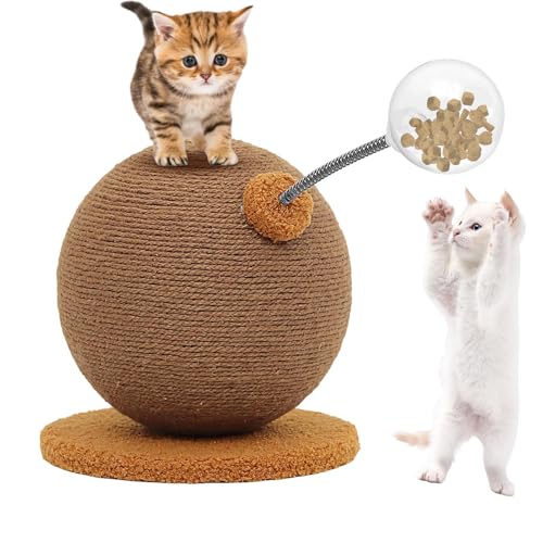 Katzen| Für Kätzchen,Trainingsspielzeug Mit Kletterelement Für Unterhaltung Gegen Langeweile Innen Außen Wohnung Reise Schlafzimmer Spiel Katzen| Für Kätzchen,Trainingsspielzeug Mit Kletterelement Für Unterhaltung Gegen Langeweile Innen Außen Wohnung Reise Schlafzimmer Spiel von Zopoee